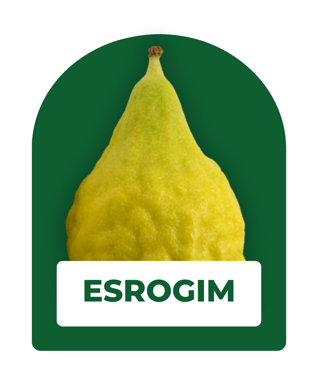 Esrogim