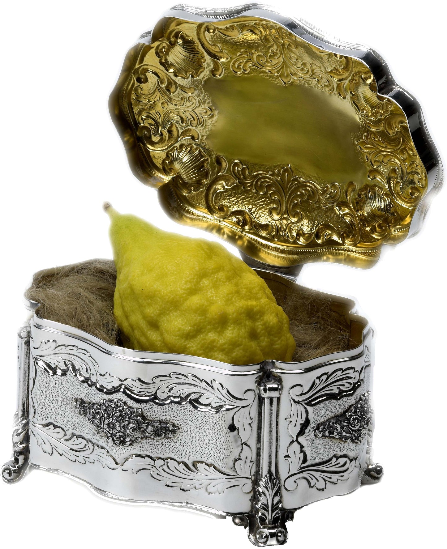 Esrogim No Pitom (Comes with all 4 Species)