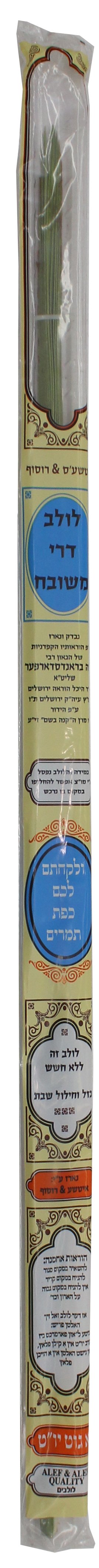 Deri Lulav